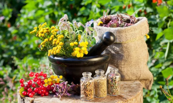 Belarrak helmintarretatik