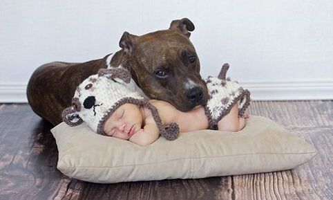 Txakur bat duen haur bat