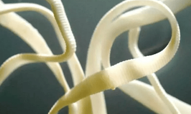 Nola kendu parasitoak giza gorputzetik