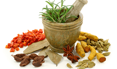 gorputzean parasitoak tratatzeko metodoak