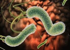 birusak eta bakterioak